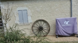 293868476_145731388107676_1127457037710502893_n