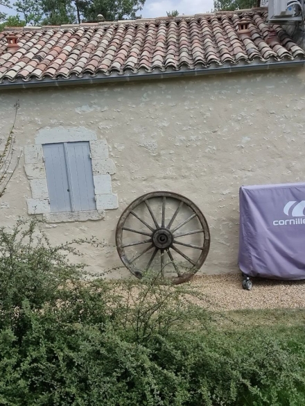 293868476_145731388107676_1127457037710502893_n