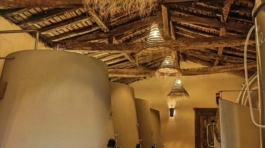 431552518_1086987312555052_5075138878113096048_n