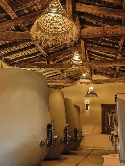 431552518_1086987312555052_5075138878113096048_n