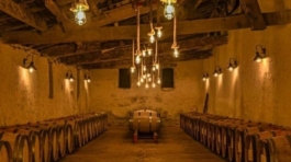 431847666_713025721028817_7007449045717699741_n