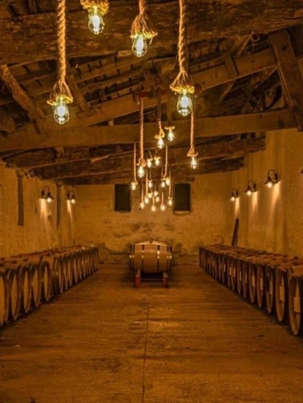 431847666_713025721028817_7007449045717699741_n